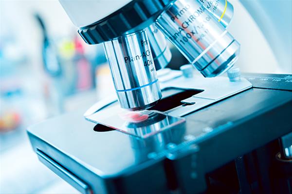 bob体育app:吃野蘑菇要避免五大误区牢记三不法则--健康·生活--人民网